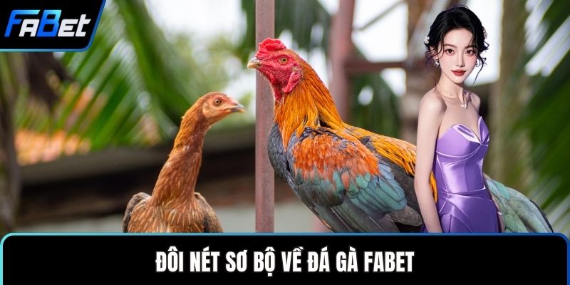 Đôi nét sơ bộ về đá gà FABET
